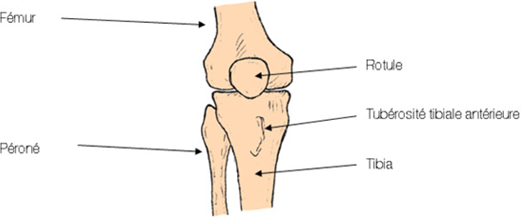 Traitement osgood schlatter