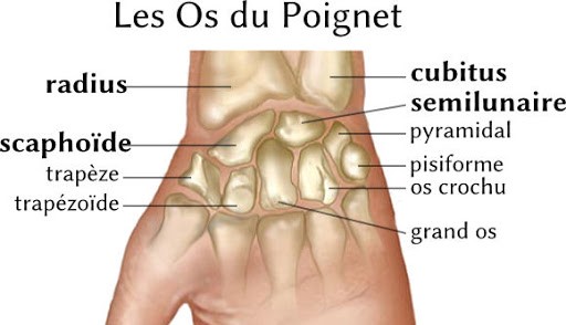 Les os du poignet la maladie de Kienböck